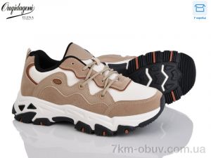 купить Dageni B887-5 оптом