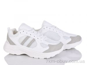 купить Svit LY2-2 оптом