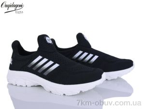 купить Dageni A99352-1 оптом