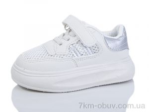купить ASHIGULI 2081-2 оптом