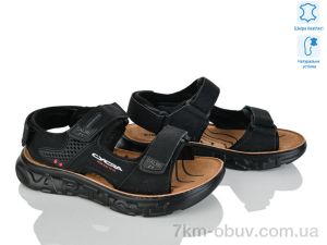 купить KIMBOO T611-3A оптом