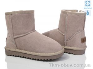 купить ITTS 7808-13 beige оптом