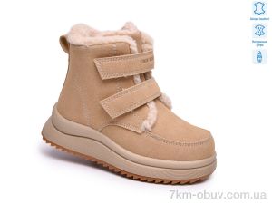 купить оптом TOM.M 65201C