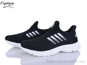 купить Dageni T99352-1 оптом