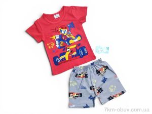 купить Kids-modnik 261920 комплект футболка-шорти червоний оптом