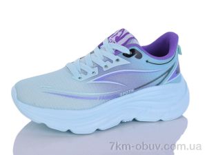 купить Ditof B0100-2 оптом