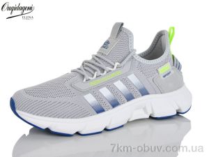 купить Dageni A2391-14 оптом