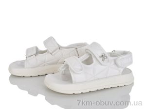 купить KIMBOO XD613-3C оптом