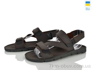 купить оптом Paolla Д02 коричневий