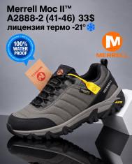 купить Boteli A2888-2 оптом