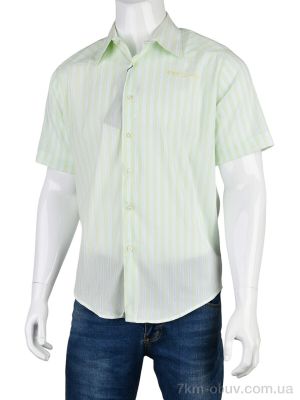 купить Obuvok L1203-44 (12527) green оптом