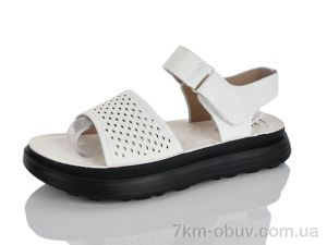 купить оптом Lilin 20-6