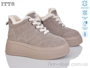 купить ITTS DD7572-17 оптом