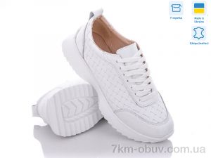 купить Stella 176-4 оптом