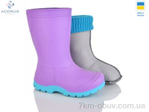 купить Acorus Асоль фіолет оптом