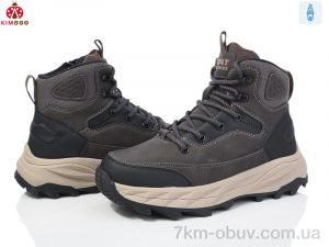 купить KIMBOO P24164-4D оптом