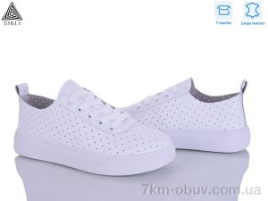 купить STILLI Group R250 шкіра оптом