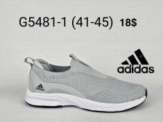 купить оптом Boteli G5481-1