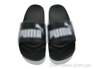 купить Kaia M-PM01-50 оптом
