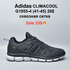 купить Boteli G1955-4 оптом