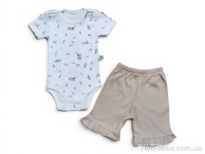 купить Kids-modnik 41003 комплект для малюків боді-шорти капучіно оптом