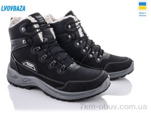 купить оптом Lvovbaza Paolla 363-6113