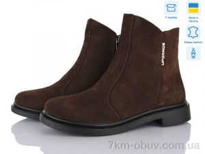 купить Ailinda 1412-55 оптом