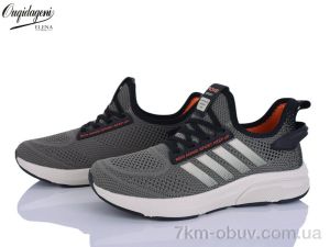купить Dageni A2526-24 оптом