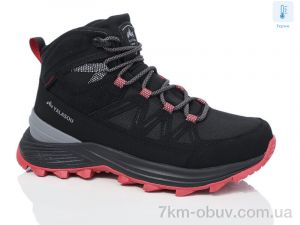 купить HOROSO-UFO YWN2311-1 термо оптом