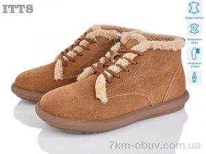 купить ITTS DX12-45 оптом