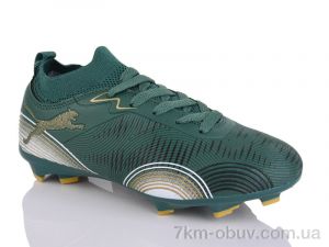 купить ASHIGULI 508S оптом