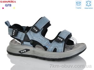 купить GFB-Канарейка R823-5 оптом