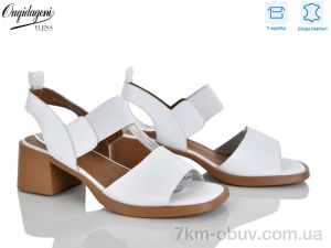 купить Dageni F22196-2 оптом