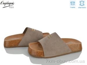 купить Dageni 8011-5 оптом