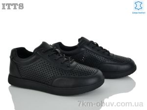 купить ITTS P03-6 оптом
