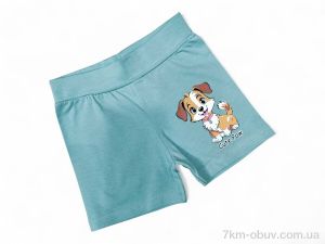 купить Kids-modnik 13142 фісташковий оптом