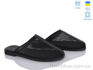 купить Ailinda 485-2 оптом