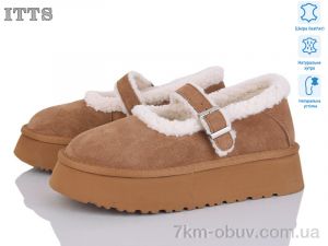 купить ITTS F257-20 оптом
