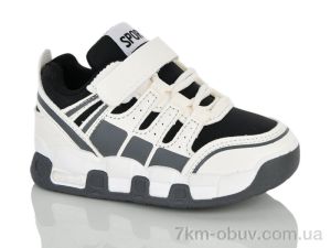купить ASHIGULI 55-1 оптом