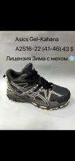 купить Baas  A2516-22 оптом