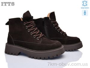 купить ITTS E65-41 оптом