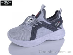 купить Baas K6591-2 оптом