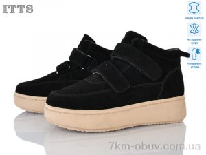купить ITTS K700-2 оптом