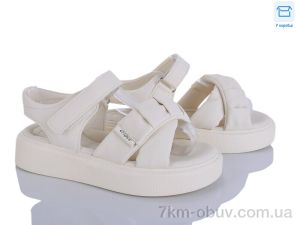 купить Clibee-ShoSho ZC172-3 оптом
