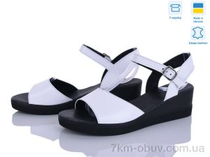 купить Ailinda 1552-8A оптом