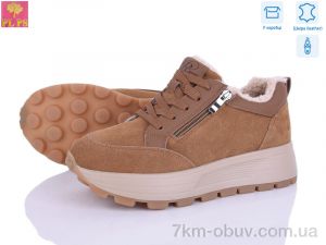 купить PLPS YJ681-2 оптом