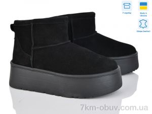 купить Stella Y1 оптом