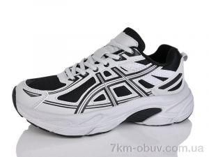 купить Moli B8012-5 оптом