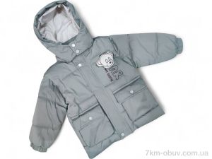 купить Kids-modnik 2505 фісташковий оптом