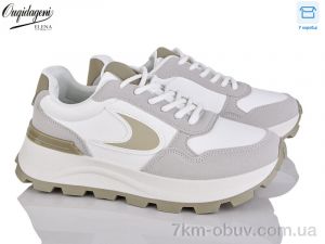 купить Dageni M6603-5 оптом